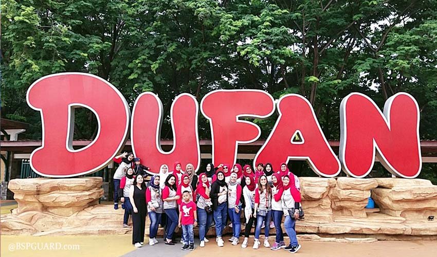 bsp dufan