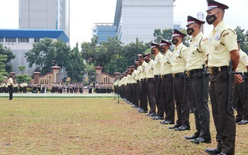 mengapa memilih bsp alih daya